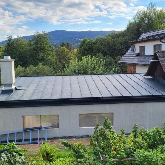 Ein modernes Haus mit einem dunklen Dach und einem Garten davor. Eine Leiter lehnt an der Wand. Berge und Bäume sind im Hintergrund.