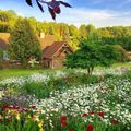 v1_migrated_image_76257915