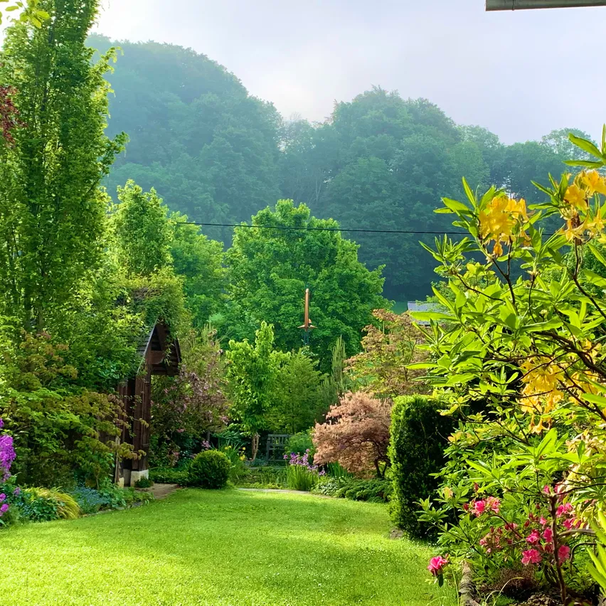 Grass, Garden, Nature, Park, Vegetation, Backyard, Tree, Lawn, Woodland, Arbour