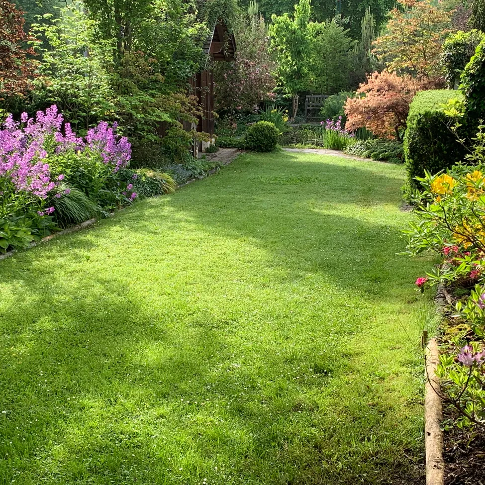 Grass, Garden, Nature, Outdoors, Backyard, Yard, Lawn, Vegetation, Park