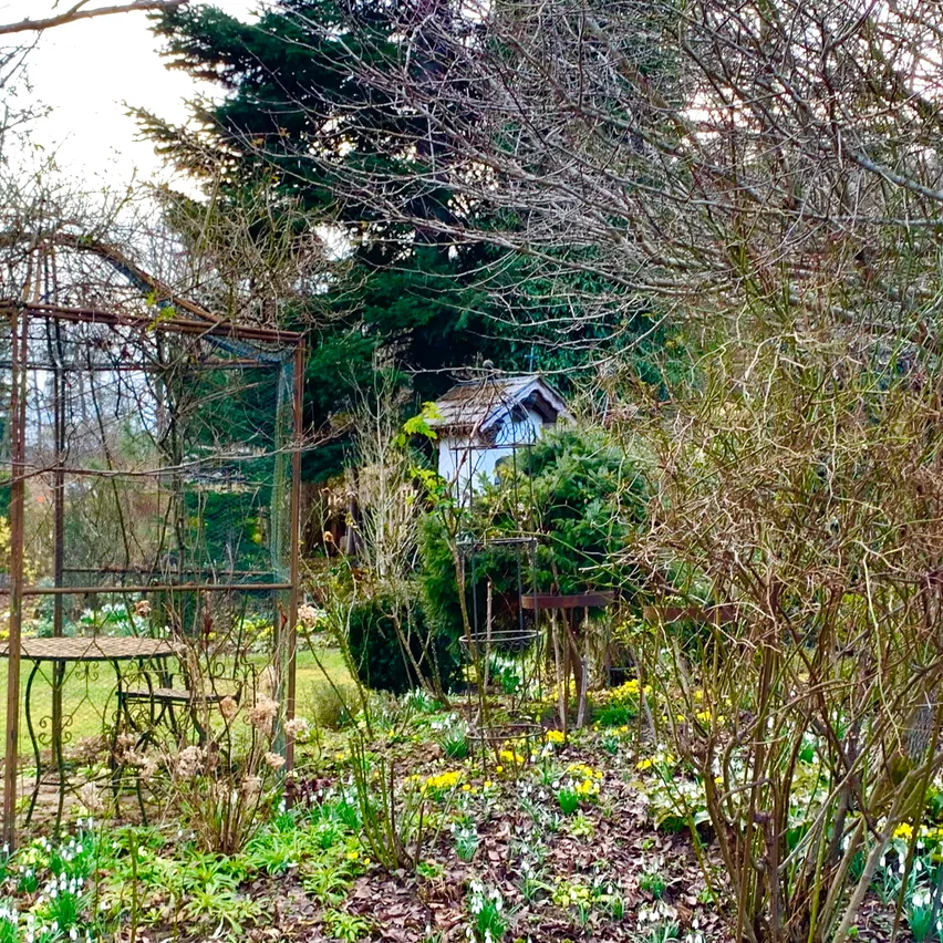 Eine Gartenszene mit einem rostigen Metallpavillon, umgeben von verschiedenen Pflanzen und Blumen, einige in Blüte. Ein kleines weißes Haus ist im Hintergrund sichtbar, und das Gebiet ist mit gefallenen Blättern bedeckt.