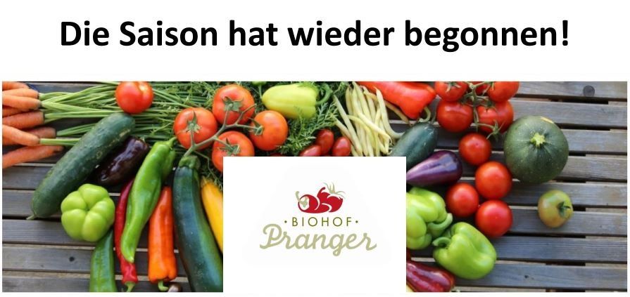 Die Saison hat wieder begonnen! Eine Vielzahl von Gemüse ist auf einer Holzoberfläche angeordnet, mit dem Logo von BIOHOF. Pranger in der Mitte.