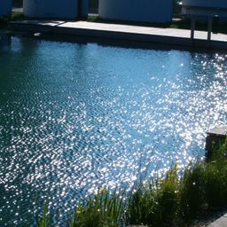 Ein Pool mit klarem blauem Wasser und kleinen Wellen. Der Rand hat eine Holzboden und einen kleinen Rasenbereich. Zwei weiße zylindrische Strukturen befinden sich an der Seite.