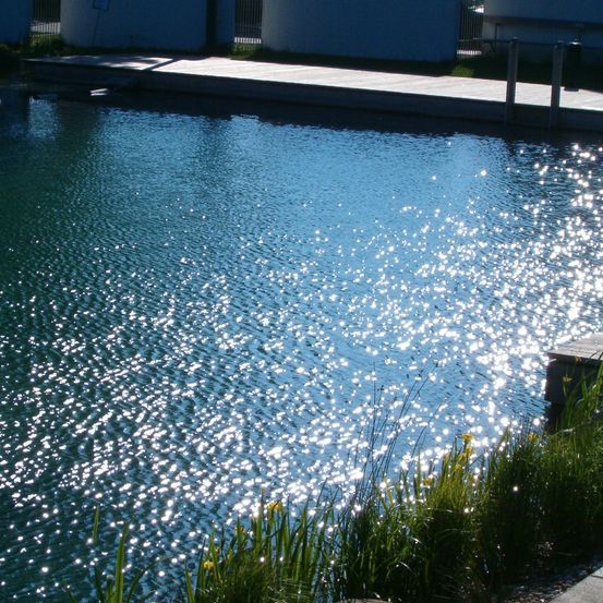 Ein Pool mit klarem blauem Wasser und kleinen Wellen. Der Rand hat eine Holzboden und einen kleinen Rasenbereich. Zwei weiße zylindrische Strukturen befinden sich an der Seite.