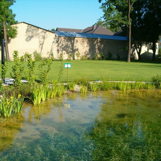 Ein grüner Teich mit Pflanzen davor, vor einem großen Gebäude mit Solarpanelen auf dem Dach und einem üppigen Rasen dahinter.