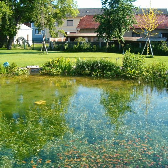 Ein Teich mit Wasser und Fischen ist von saftigem grünem Gras und mehreren Bäumen umgeben. Ein Haus mit rotem Dach befindet sich im Hintergrund.