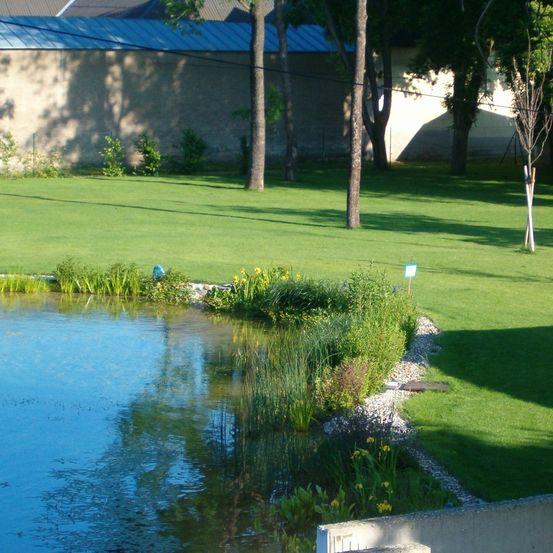 Ein Teich, umgeben von Grün und Blumen, mit einem Gebäude und Bäumen im Hintergrund.