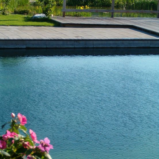 Ein ruhiger Außenpool wird von einer Holzterrasse mit einem Rasenbereich gesäumt. Ein kleiner Stein befindet sich in der Nähe des Rasenbereichs, und rosa Blumen schwimmen auf der Wasseroberfläche.