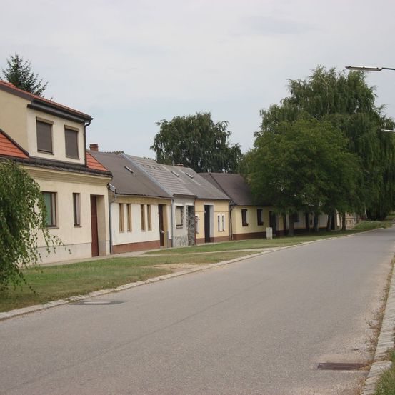 Eine Reihe von Wohnhäusern mit roten Dächern, Fenstern und Türen, die entlang einer Straße mit Bäumen und Gras auf der Seite aufgereiht sind.