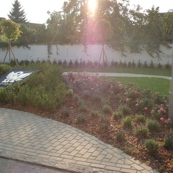Ein Garten mit einem gepflasterten Weg und einem Blumenbeet mit rosa Blumen. Eine weiße Mauer und grüne Bäume im Hintergrund. Die Sonne scheint hell und erhellt die Szene.