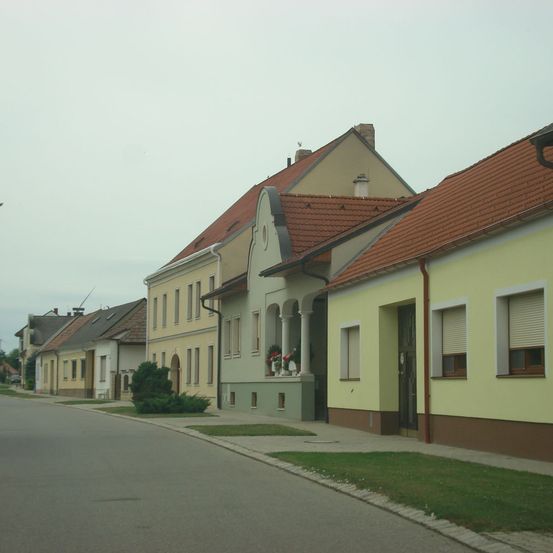 Eine Straße gesäumt von traditionellen Häusern mit roten Dächern und gelben Wänden. Vor den Häusern steht ein großer grüner Busch.