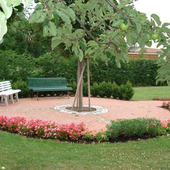 Ein Park mit einem kleinen Gartenbereich hat eine grüne Bank und einen Baum mit grünen Äpfeln. Der Garten hat einen gepflasterten Weg und rosa Blumen. Hinter dem Garten stehen Büsche und ein Haus.
