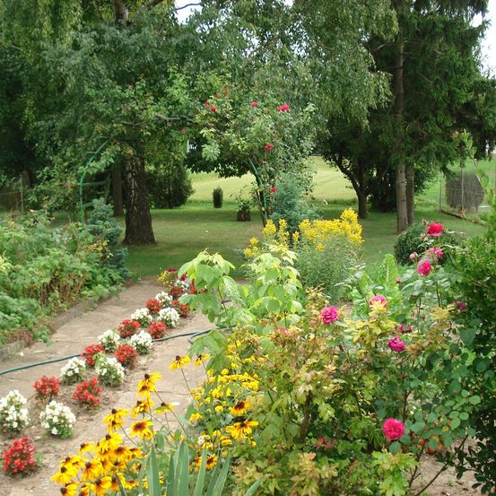 Ein üppiger Garten voller bunter Blumen und Bäume. Der Garten hat einen mit weißen und roten Blumen gesäumten Pfad. Im Hintergrund befinden sich weitere Bäume und eine Rasenfläche.