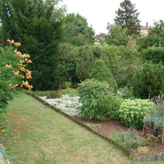 Ein Garten mit verschiedenen Pflanzen, Blumen und Bäumen. Ein Schlauch liegt auf dem Rasen. Der Garten ist von einem Holzzaun umgeben.