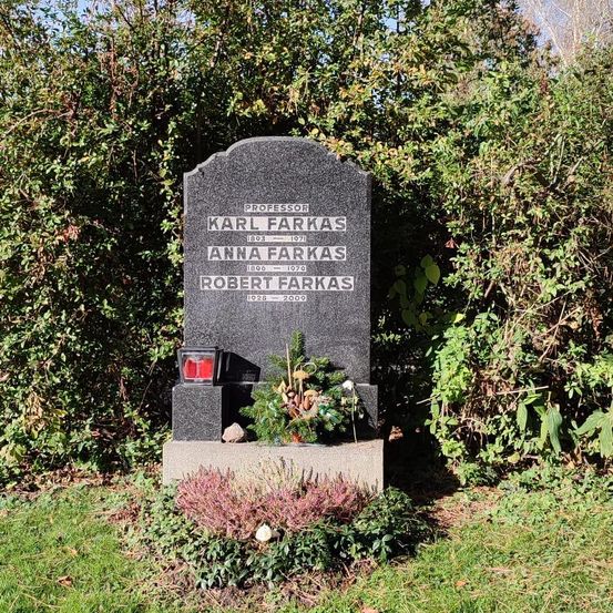 Ein Grabstein ist mit Pflanzen geschmückt. Er ist Professor Karl Farkas gewidmet, geboren 1803 und gestorben 1971, Anna Farkas, geboren 1806 und gestorben 1979, und Robert Farkas, geboren 1928 und gestorben 2000.
