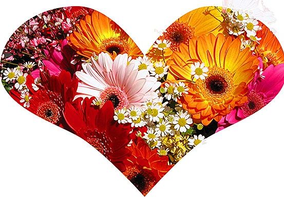 Ein herzförmiges Arrangement aus farbenfrohen Blumen, darunter rosa, orange und weiße Gänseblümchen.