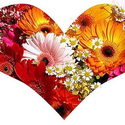 Ein herzförmiges Arrangement aus farbenfrohen Blumen, darunter rosa, orange und weiße Gänseblümchen.