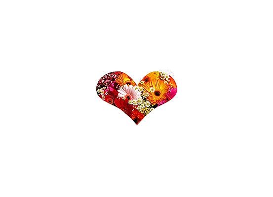 Ein herzförmiges Arrangement aus bunten Blumen, einschließlich roter, oranger, gelber und weißer Blütenblätter, wird vor weißem Hintergrund präsentiert.