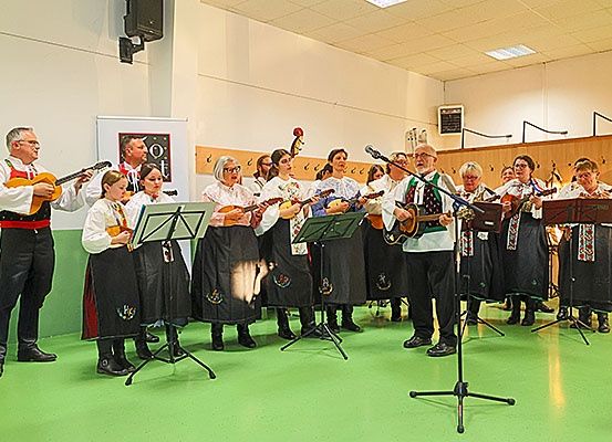 Eine Gruppe von Musikern in traditionellen Kostümen spielt auf der Bühne mit verschiedenen Saiteninstrumenten und wird von einem Mikrofon auf einem Ständer begleitet.