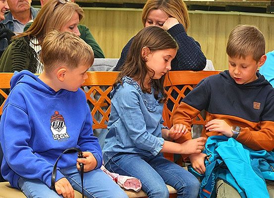 Mehrere Kinder sitzen auf einer Bank. Ein Junge mit einer blauen Kapuzenjacke mit Schneemann-Aufdruck hält eine Leine. Neben ihm hält ein Mädchen in einer Jeansjacke ein blaues Tuch. Ein weiterer Junge mit einem orange-schwarzen Hoodie schaut auf das blaue Tuch.