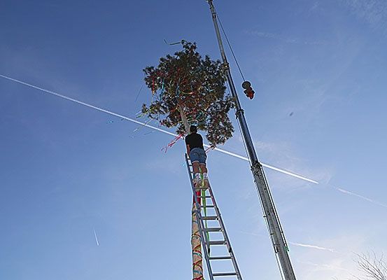 Eine Person klettert auf einer Leiter, die an einem mit bunten Bändern geschmückten Baum befestigt ist. Der Baum ist von einem Kran umgeben, und der Himmel ist blau mit weißen Wolken.