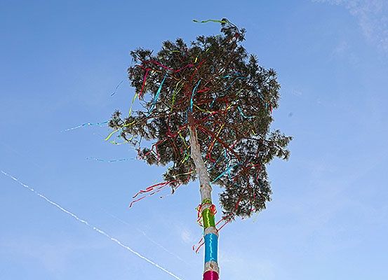 Ein hoher Baum, geschmückt mit bunten Bändern, steht gegen einen klaren blauen Himmel. Die Bänder flattern sanft im Wind.
