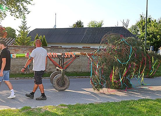 Zwei Männer ziehen einen geschmückten Baum mit Bändern an einem sonnigen Tag die Straße entlang.