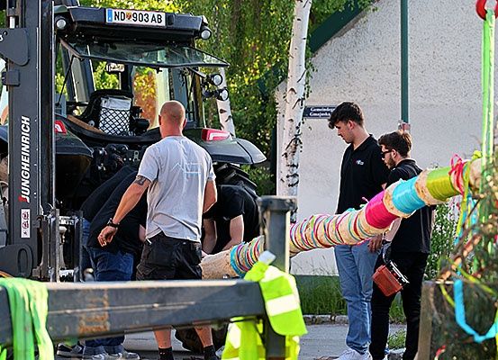 Vier Männer arbeiten mit einer Maschine, einer hält ein Seil. Ein anderes Seil ist um den Baum gewickelt, und einige grüne Bänder sind daran befestigt.