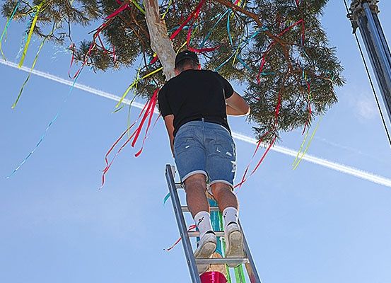 Ein Mann in Jeansshorts und einem schwarzen T-Shirt klettert eine Leiter hinauf und schmückt einen Baum mit mehrfarbigen Bändern an einem sonnigen Tag.