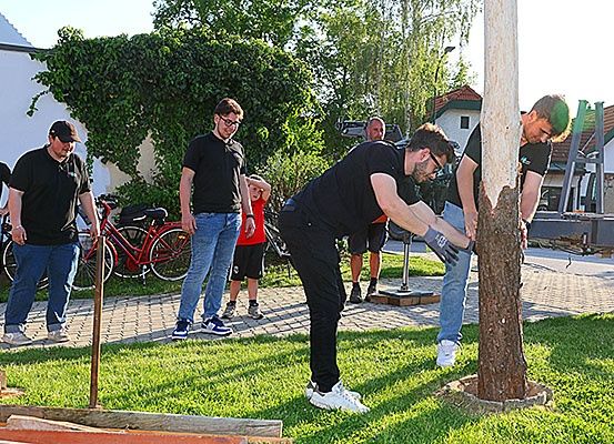 Eine Gruppe von Männern arbeitet draußen an einem Baum an einem sonnigen Tag. Ein Mann beugt sich über den Baumstamm, ein anderer hält einen Baumstumpf. Hinter ihnen stehen andere Männer und beobachten.