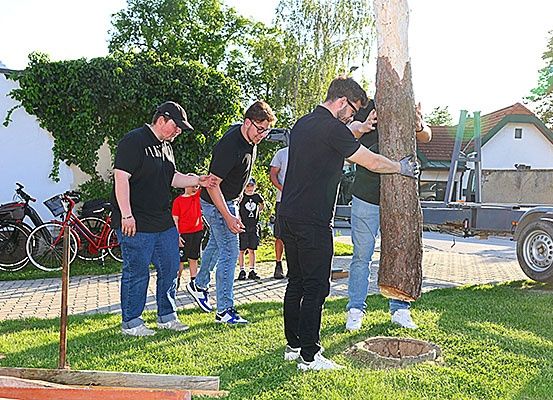 Mehrere Männer arbeiten draußen an einem Baumstamm mit einem Loch, tragen Brillen und Handschuhe. Hinter ihnen sind Fahrräder und ein Lkw geparkt.