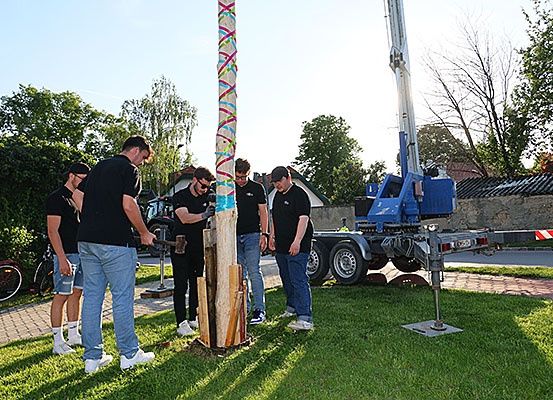 Fünf Männer sind im Freien auf einem Rasenfeld, möglicherweise arbeiten sie an einem Holzpfahl. Ein Mann hält einen Hammer und scheint den Pfahl zu reparieren. Hinter ihnen steht ein Baufahrzeug.