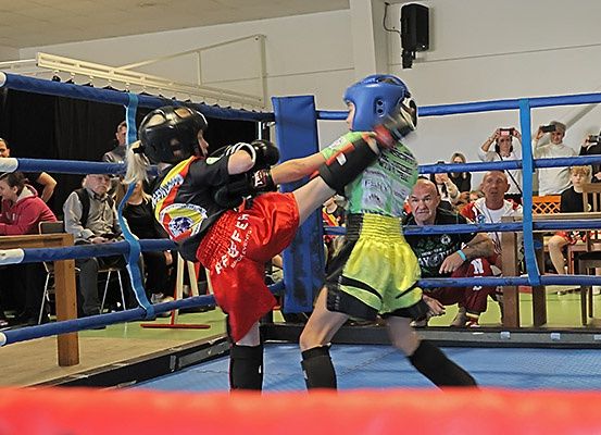 Zwei Kämpfer im Ring, einer tritt den anderen. Zuschauer sehen von den Tribünen zu.