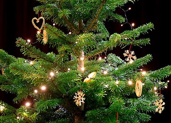 Ein Weihnachtsbaum geschmückt mit goldenen Ornamenten, Lichtern und Schneeflocken. Der Baum ist mit weißen Lichtern beleuchtet.