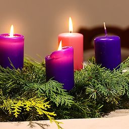 Vier brennende Kerzen, lila und rosa, sind in einem Kranz aus grünen Blättern auf einem Tisch platziert. Ein gelber Zweig ist im Vordergrund.