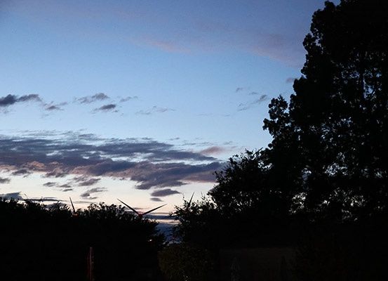 Eine Landschaft mit Windturbinen und Bäumen vor einem wolkenverhangenen Dämmerungshimmel. Die Windturbinen sind teilweise von den Bäumen verdeckt.
