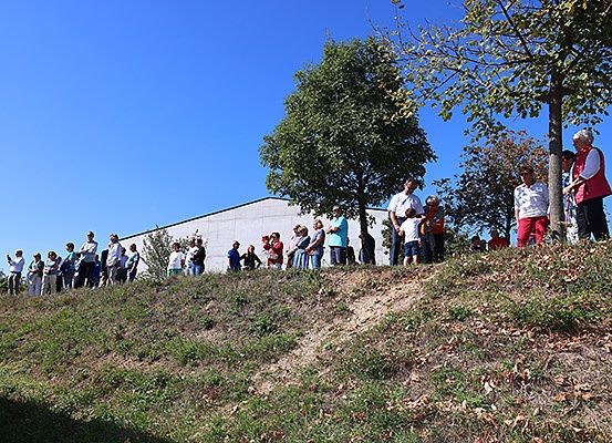 Eine Gruppe von Menschen steht auf einem grasbewachsenen Hügel mit Bäumen und schaut in die Ferne unter einem klaren blauen Himmel.