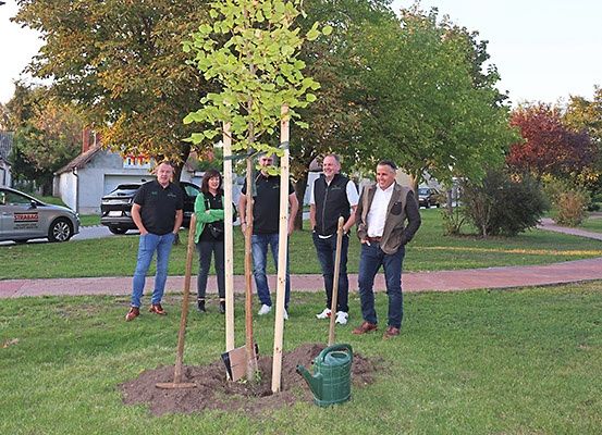 Fünf Personen pflanzen einen jungen Baum in einem Park. Sie stehen um den Baum herum und halten Schaufeln und eine Gießkanne.
