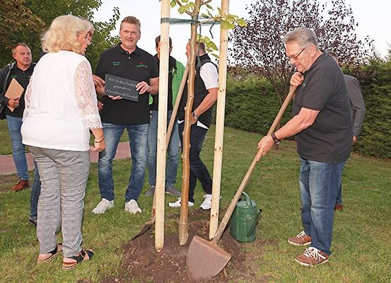 Ein älterer Mann pflanzt einen Baum im Park, während andere zusehen. Er hält eine Schaufel und eine Tafel ist sichtbar.