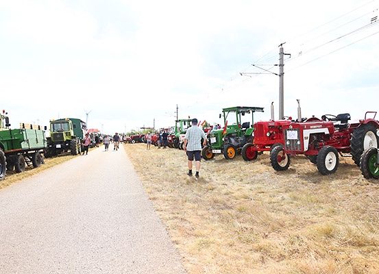 Eine Reihe von Oldtimer-Traktoren, die auf einem Feld geparkt sind, mit Leuten, die am Straßenrand entlanglaufen.