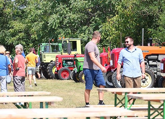 Mehrere Menschen versammeln sich an einem sonnigen Tag um Oldtimer-Traktoren, während andere im Hintergrund unter einem Baumdach spazieren.