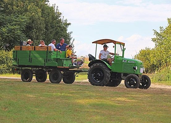 Ein grüner Traktor zieht einen Anhänger mit Passagieren, die an einem sonnigen Tag auf einem Feld fahren.