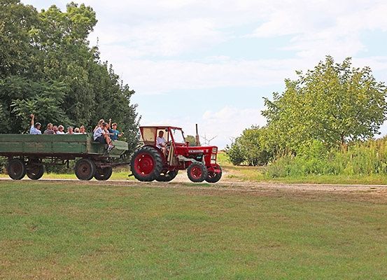 Ein roter Traktor zieht einen grünen Anhänger mit mehreren Personen auf einer unbefestigten Straße in einem Grasfeld mit Bäumen.