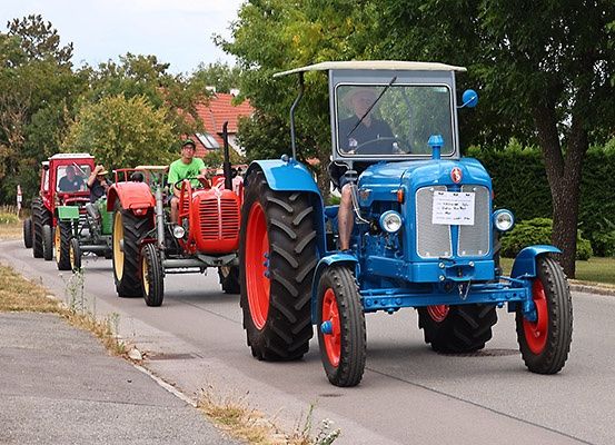 Mehrere Oldtimer-Traktoren, darunter ein blauer, fahren eine Straße hinunter, mit Bäumen und Häusern im Hintergrund.