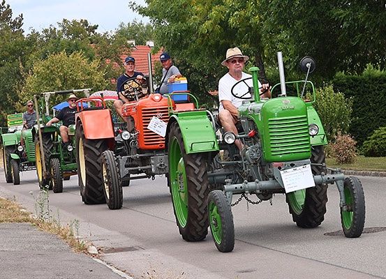 Fünf Männer in Hüten fahren mit Oldtimer-Traktoren eine Straße hinunter, gesäumt von Bäumen und Sträuchern. Die Traktoren sind grün, orange und gelb.