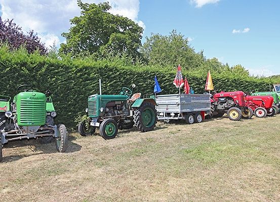 Eine Reihe von Oldtimer-Traktoren, darunter grüne, rote und weiße Modelle, geparkt hinter einer Hecke unter einem blauen Himmel mit einigen Wolken.