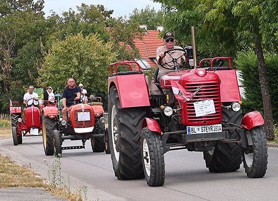 Eine Gruppe von Menschen fährt auf roten Traktoren an einem sonnigen Tag. Sie fahren auf einer Straße mit Bäumen und Gras an den Seiten.