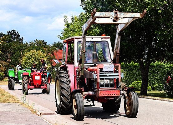 Ein roter Traktor mit Fahrer ist auf der Straße, dahinter zwei weitere Traktoren. Bäume und ein Haus befinden sich am Straßenrand.