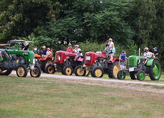 Eine Reihe von Oldtimer-Traktoren, darunter rote, grüne und gelbe, steht auf einem Pfad, auf dem Menschen darauf sitzen. Bäume und Gras sind im Hintergrund.