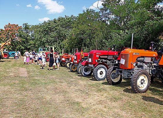 Eine Reihe roter und orangefarbener Traktoren, die auf Gras geparkt sind, mit Menschen davor und Bäumen im Hintergrund.